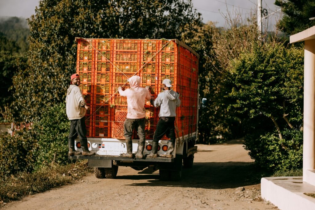 carlos-horton-HIMxqzV_4DE-unsplash